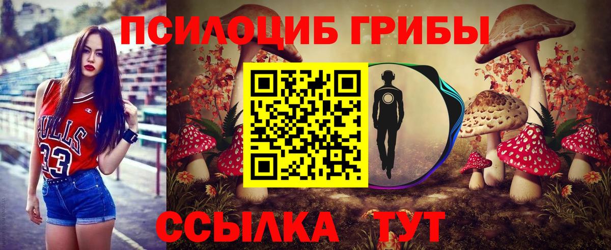 Галлюциногенные грибы Psilocybe Кудымкар