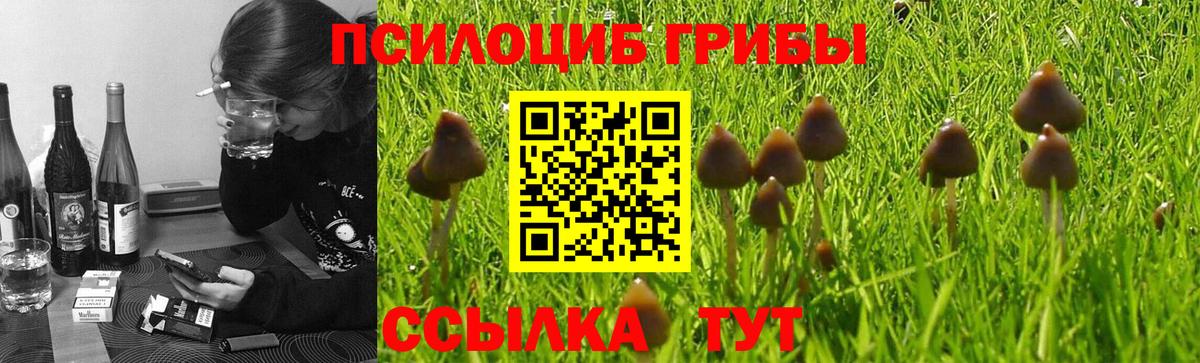 Галлюциногенные грибы прущие грибы  Вход с VPN  Кудымкар 